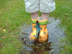 Make your stand! Wellies on www.sxc.hu