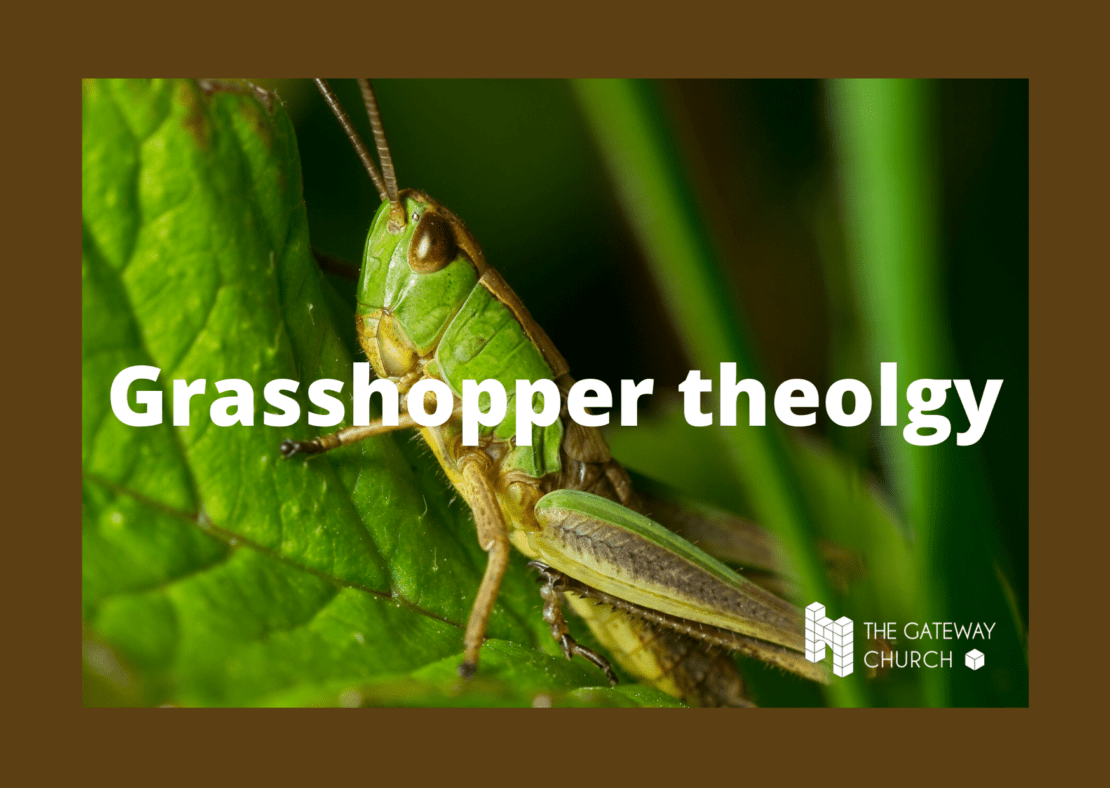 Grasshopper Theology